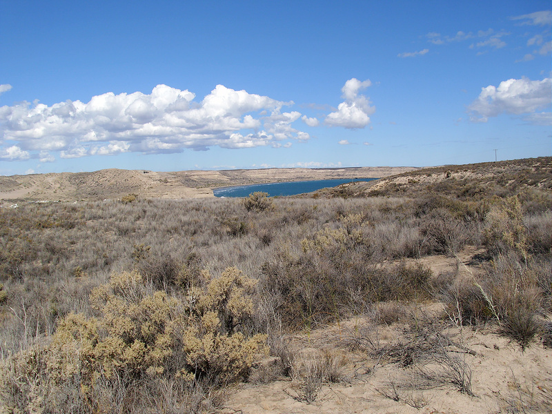 バルデス半島の画像15