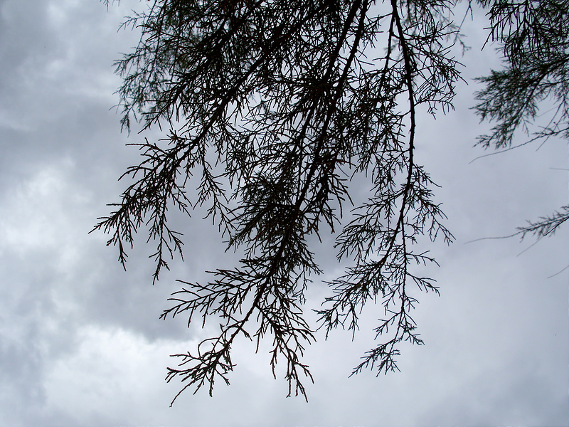 バルデス半島の画像20