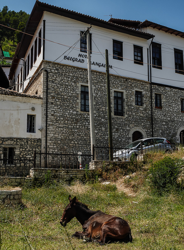 ブトリントの考古遺跡の画像10