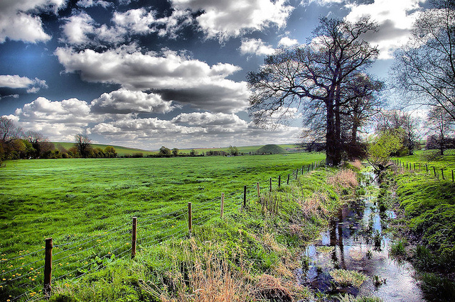 ストーンヘンジ、エイヴベリーの巨石遺跡と関連遺跡群の画像6