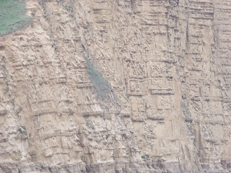 ドーセット及び東デヴォン海岸の画像13