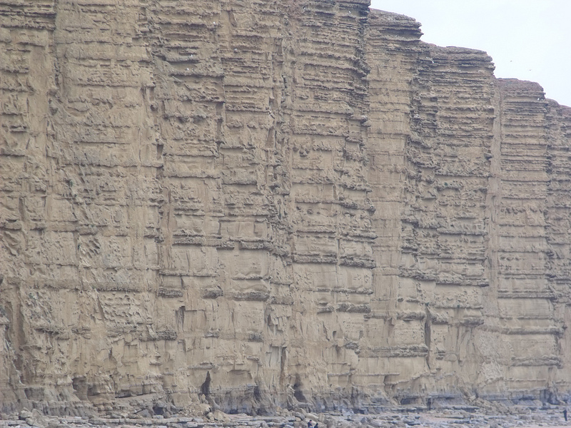 ドーセット及び東デヴォン海岸の画像14