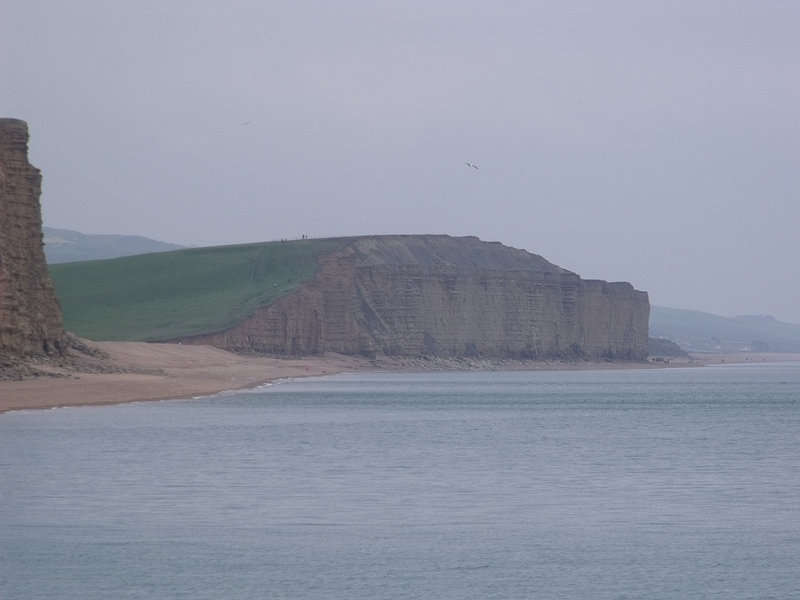 ドーセット及び東デヴォン海岸の画像15