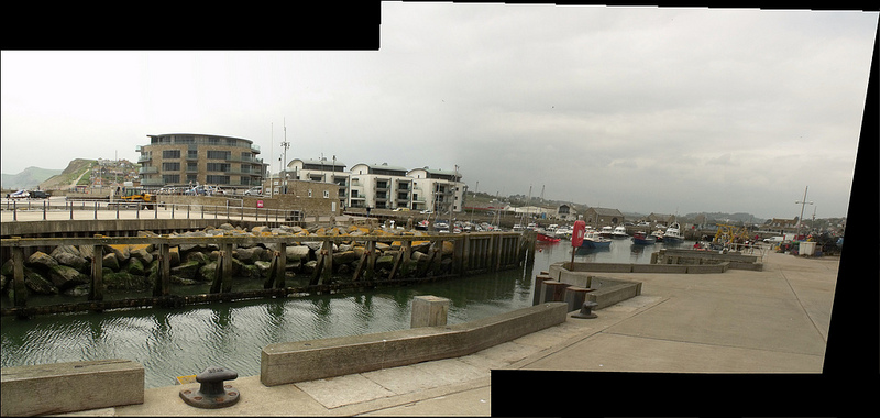 ドーセット及び東デヴォン海岸の画像20