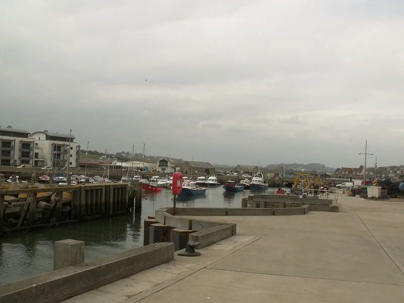 ドーセット及び東デヴォン海岸の画像21