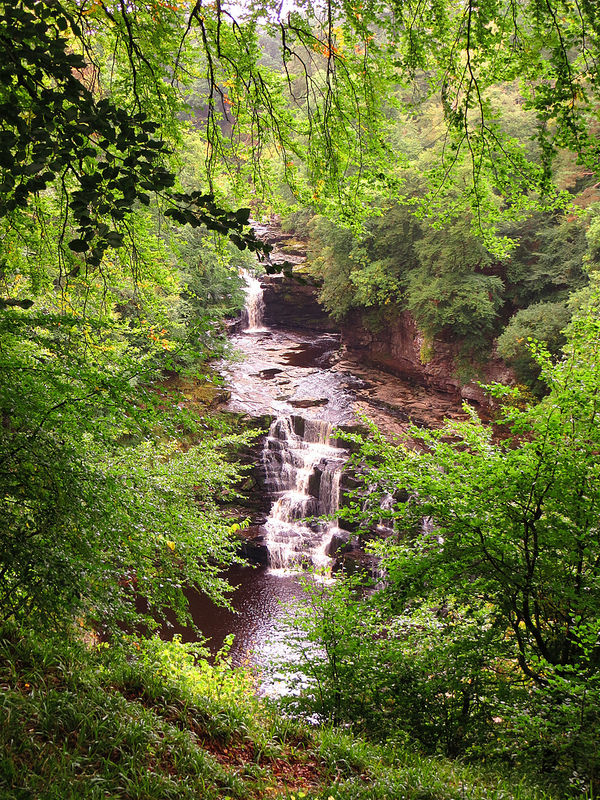 ニュー・ラナークの画像29