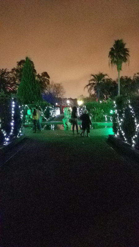 アッコ旧市街の画像13