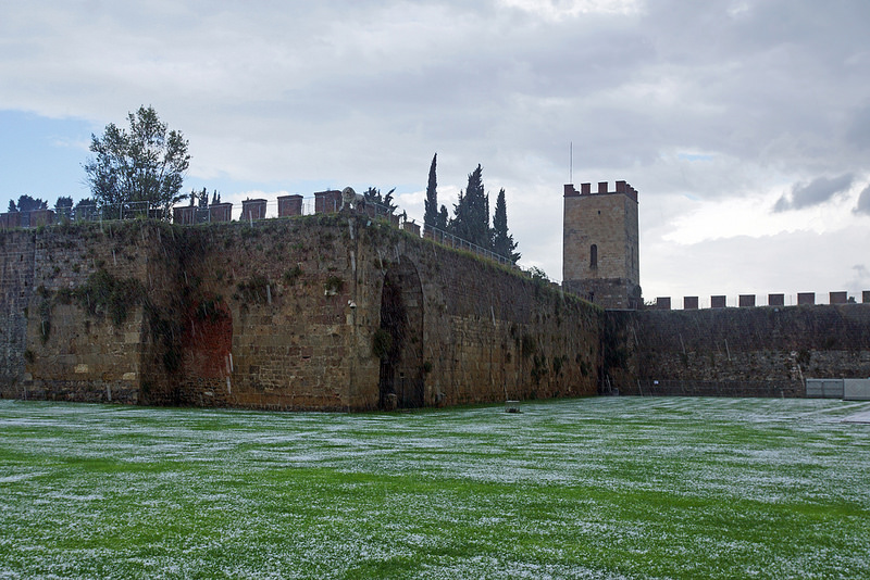 ピサのドゥオモ広場の画像20