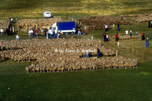 カステル・デル・モンテの画像18