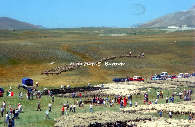 カステル・デル・モンテの画像20