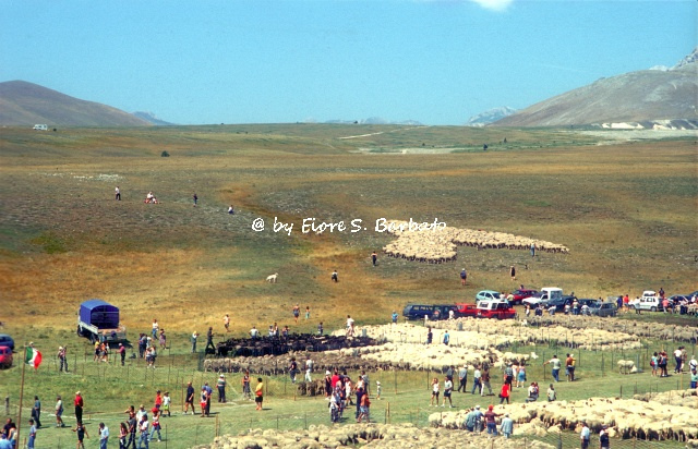 カステル・デル・モンテの画像21