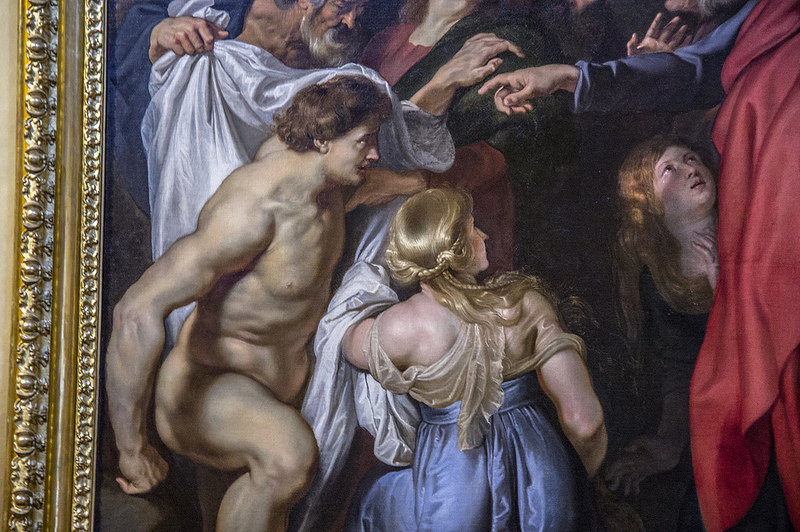 トリノのサヴォイア家の王宮と邸宅の画像8