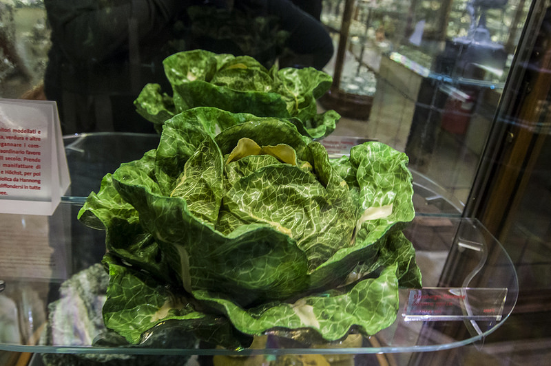 トリノのサヴォイア家の王宮と邸宅の画像22