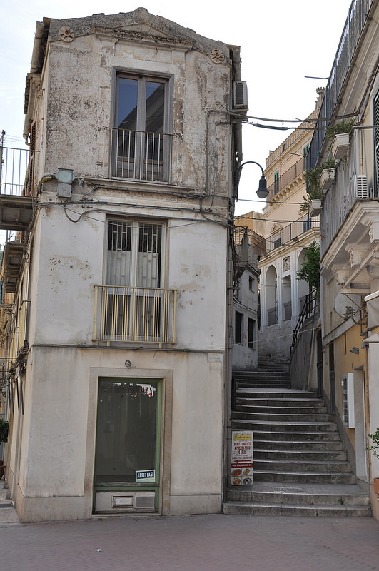 モディカの画像4