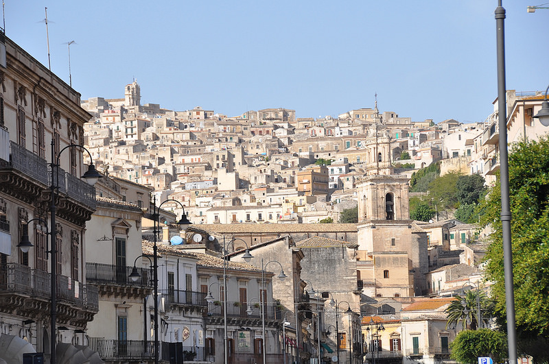 モディカの画像8