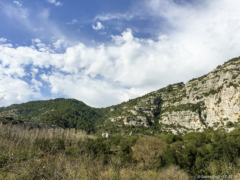 パンターリカのネクロポリスの画像2