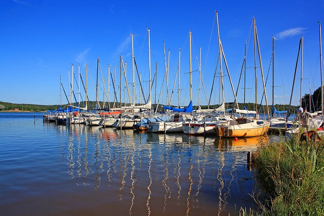 アルプス山系の先史時代杭上住居跡群の画像10