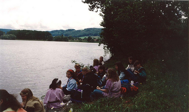 Insel Werdの画像2