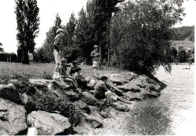 Insel Werdの画像5