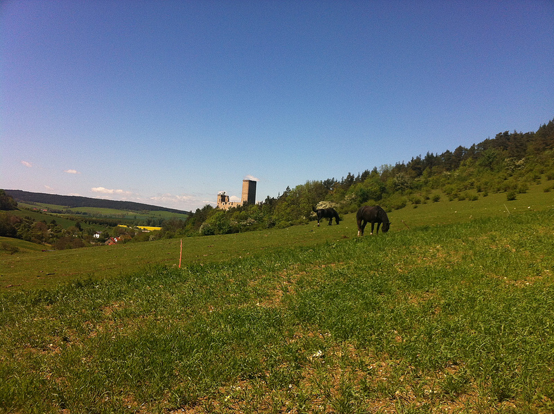 Ehrensteinの画像3