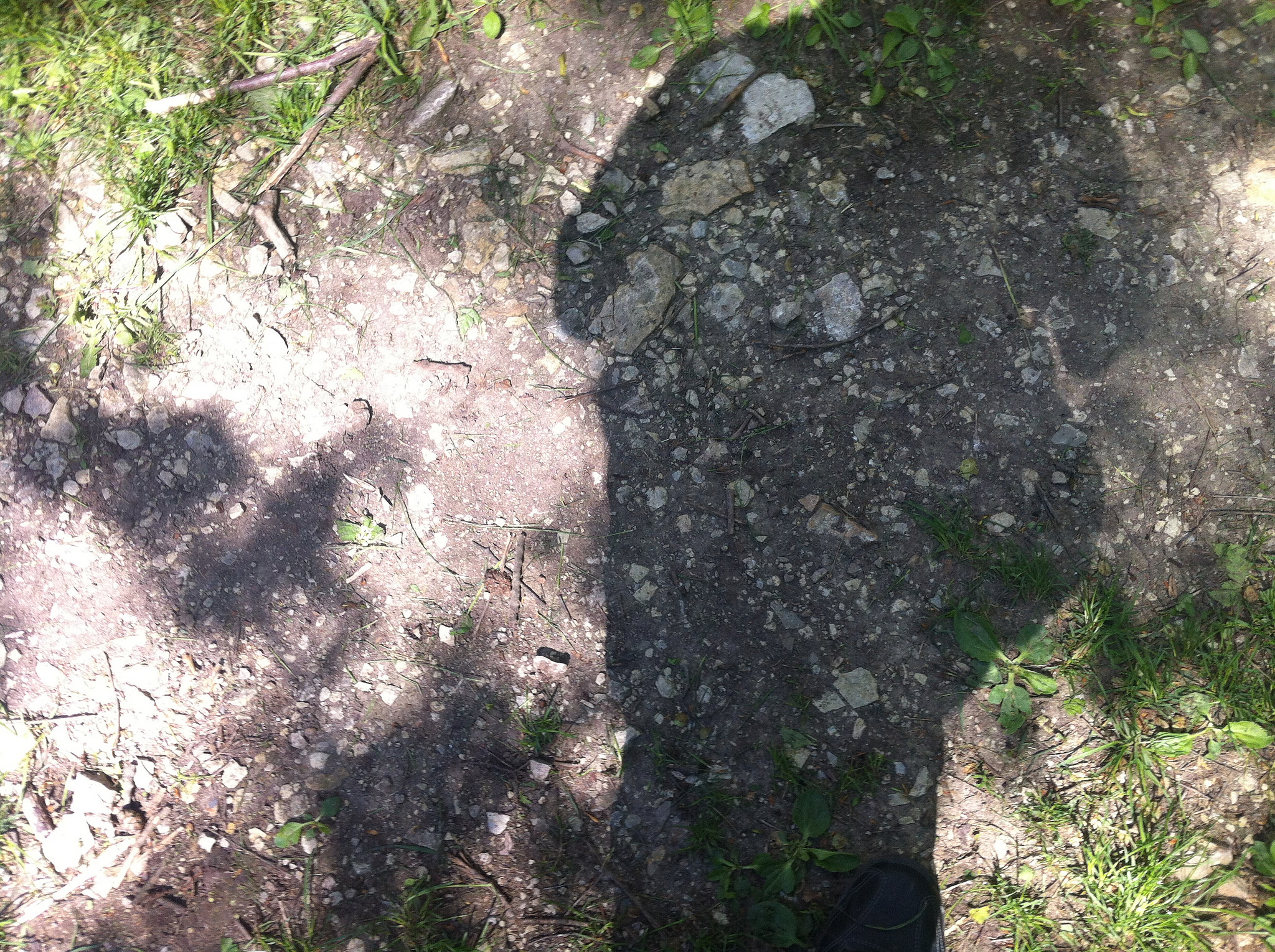 Ehrensteinの画像5