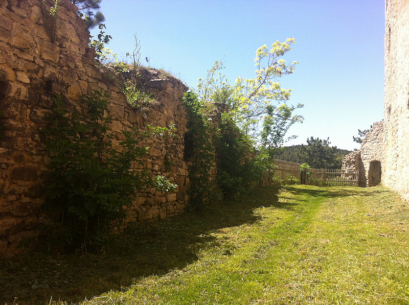 Ehrensteinの画像7