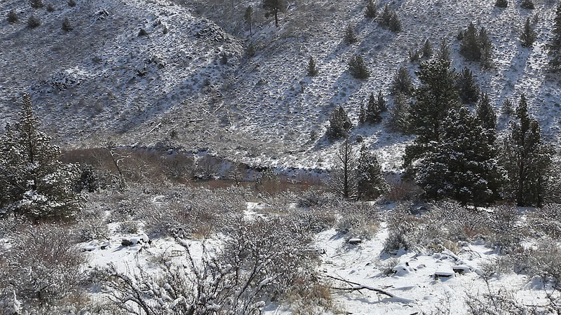 南イラクのアフワール：生物の避難所と古代メソポタミア都市景観の残影の画像4