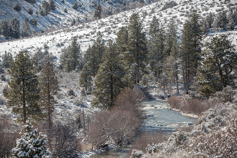 南イラクのアフワール：生物の避難所と古代メソポタミア都市景観の残影の画像6