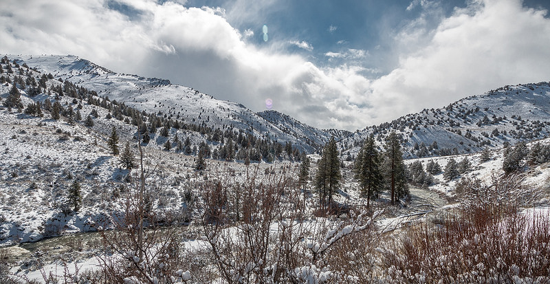 南イラクのアフワール：生物の避難所と古代メソポタミア都市景観の残影の画像7