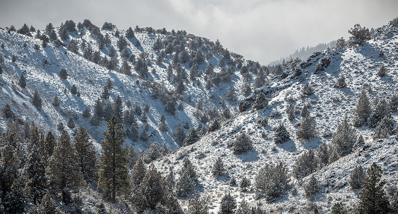 南イラクのアフワール：生物の避難所と古代メソポタミア都市景観の残影の画像8