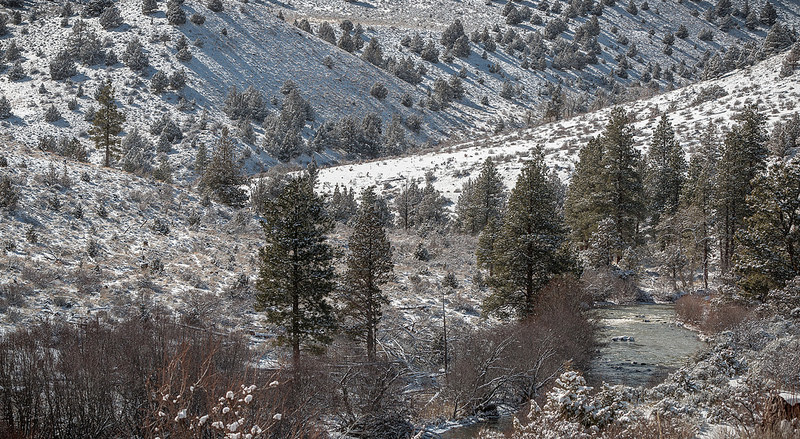 南イラクのアフワール：生物の避難所と古代メソポタミア都市景観の残影の画像9