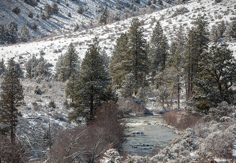 南イラクのアフワール：生物の避難所と古代メソポタミア都市景観の残影の画像10