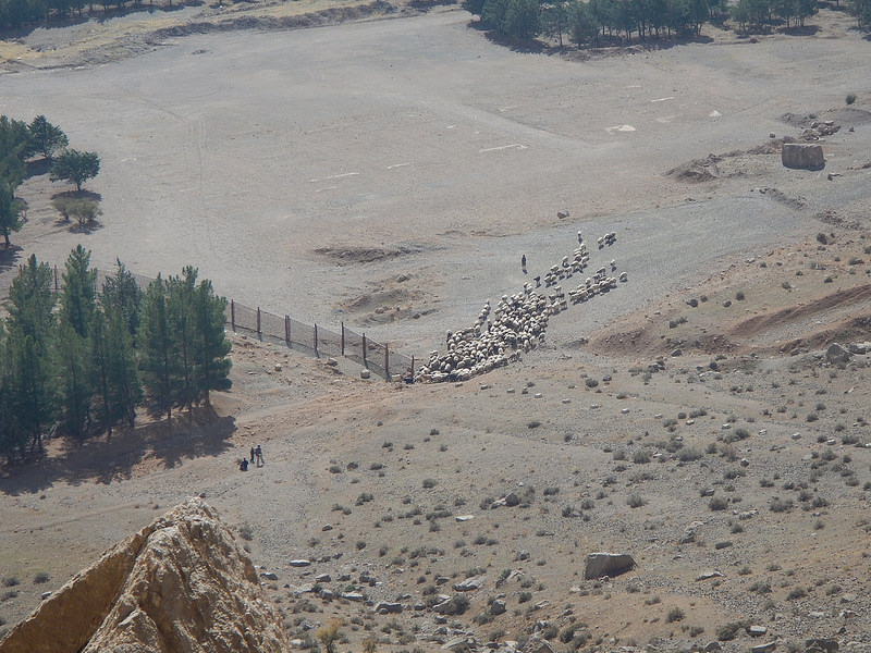 ビソトゥーンの画像8