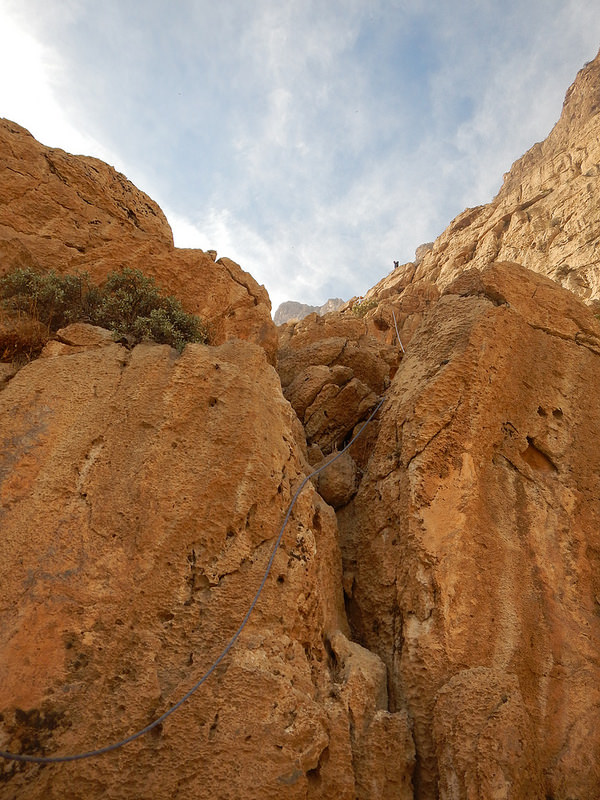 ビソトゥーンの画像11