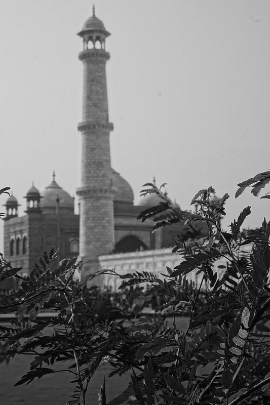 ペルシャ庭園の画像13