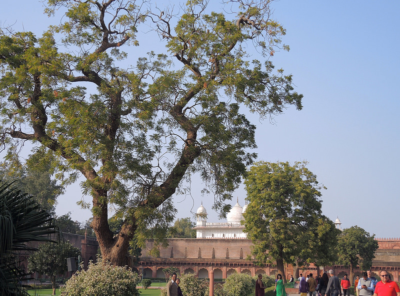 アーグラ城塞の画像25