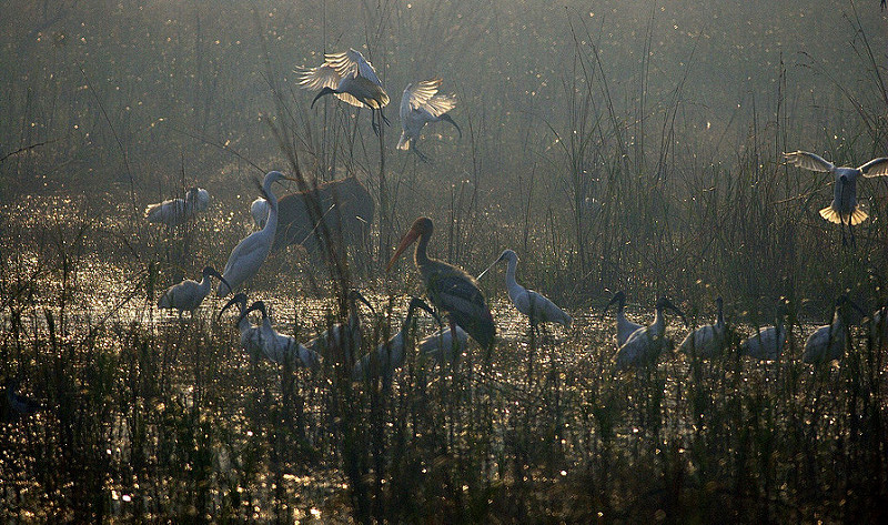 ケオラデオ国立公園の画像13