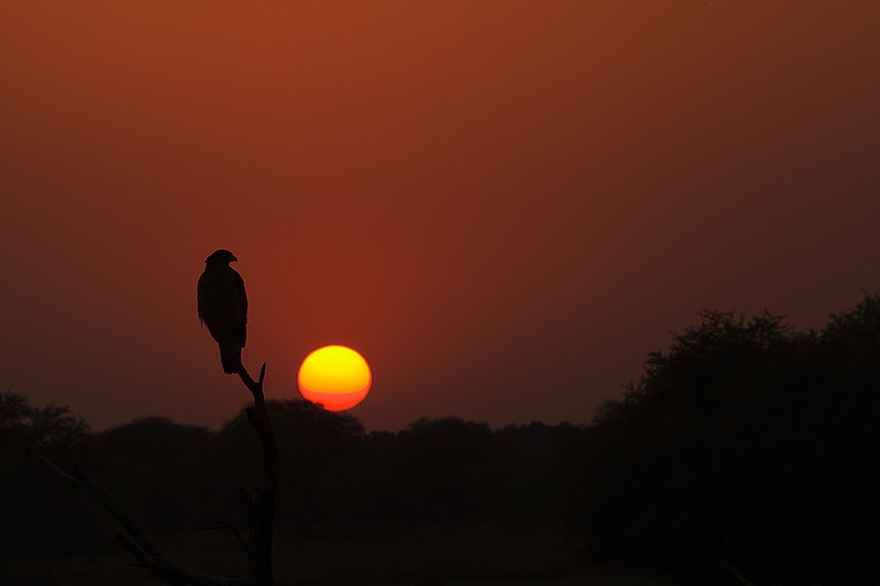 ケオラデオ国立公園の画像14