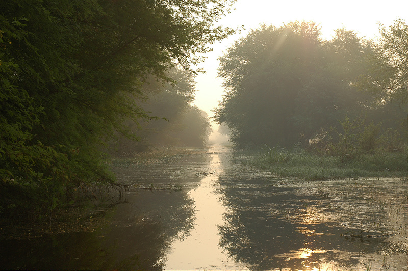 ケオラデオ国立公園の画像18