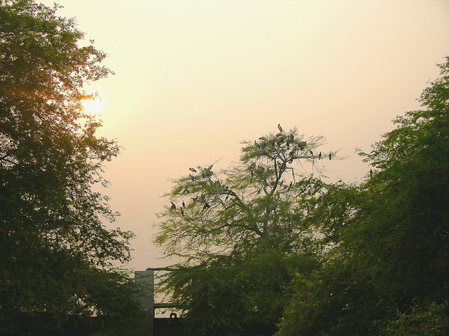 ケオラデオ国立公園の画像20