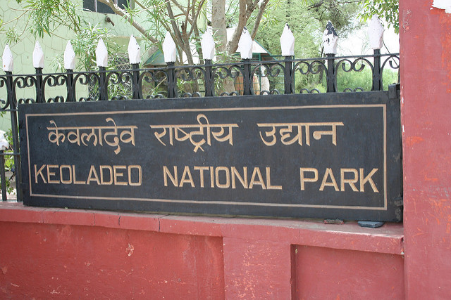 ケオラデオ国立公園の画像25