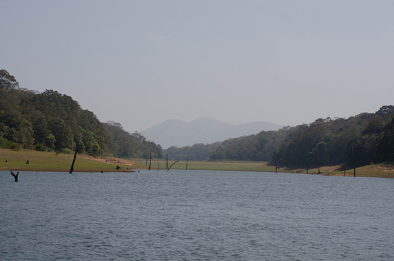 Periyar Tiger Reserveの画像6