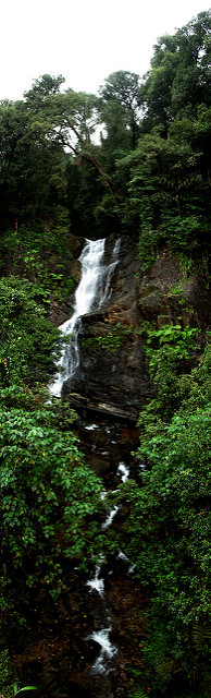 Kudremukh National Parkの画像5
