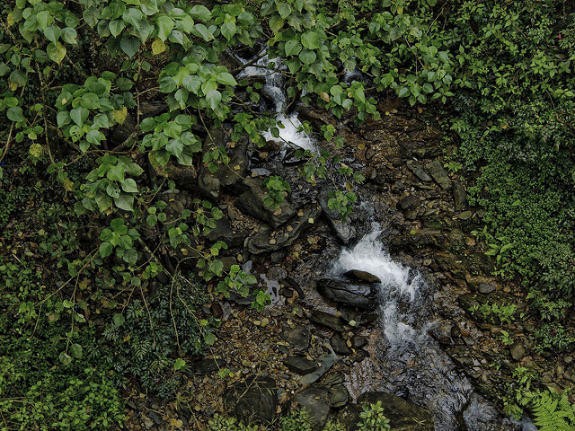Kudremukh National Parkの画像7