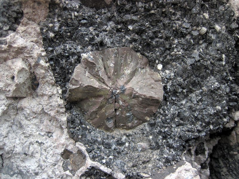 Kas Plateauの画像7