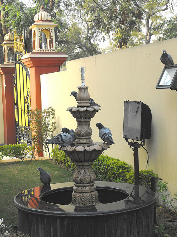 ラジャスタンの丘陵城塞群の画像21