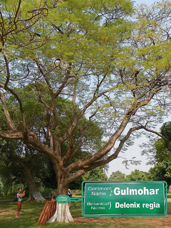 ビハール州ナーランダ・マハーヴィハーラの遺跡の画像4