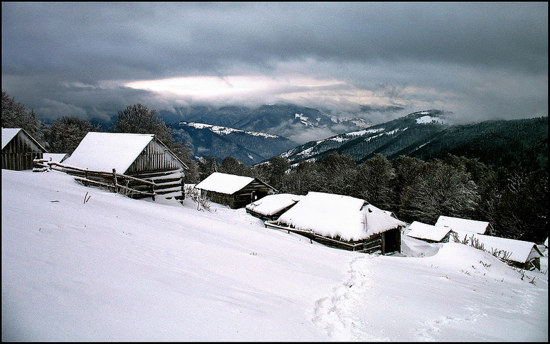 カルパチア山地と他ヨーロッパのブナ原生林の画像15