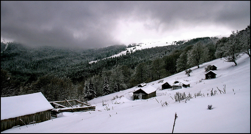 カルパチア山地と他ヨーロッパのブナ原生林の画像16