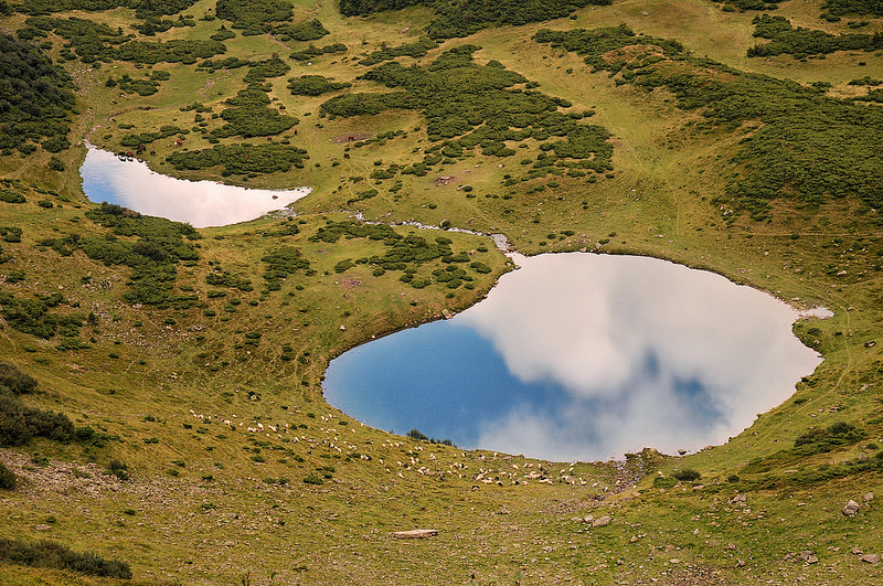 カルパチア山地と他ヨーロッパのブナ原生林の画像17